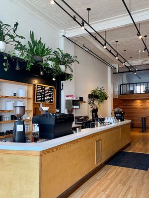 Press Coffee Bar - service counter  at Press Coffee Bar in Dayton