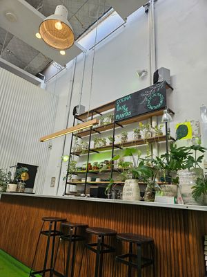  at Fifi Almacén in Buenos Aires