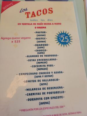 So many great options! at Groovy's Taqueria Vegana in Mexico City