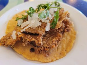  at Groovy's Taqueria Vegana in Mexico City