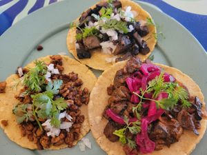  at Groovy's Taqueria Vegana in Mexico City