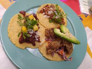  at Groovy's Taqueria Vegana in Mexico City