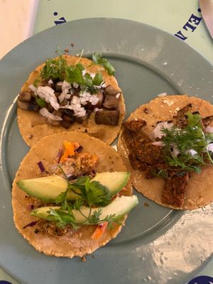  at Groovy's Taqueria Vegana in Mexico City