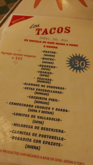  at Groovy's Taqueria Vegana in Mexico City