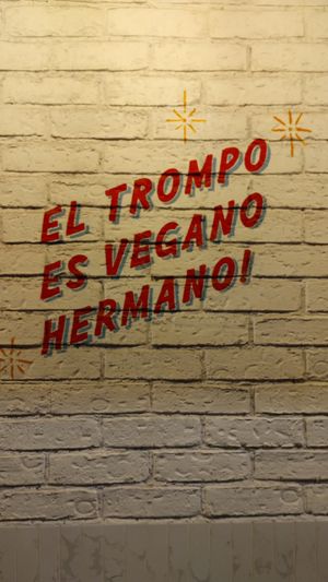  at Groovy's Taqueria Vegana in Mexico City