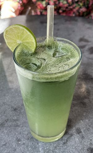 VERDE-Limo  at Verde in Karlsruhe