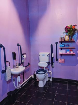 wheelchair accessible gender-neutral bathroom at Pink Peacock די ראָזעווע פּאַווע in Glasgow