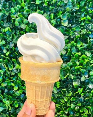 . at Pure Vegan Cafe in Raleigh