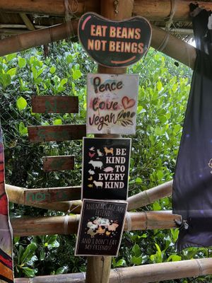 Atmosphere   at Vegan Traveller's Corner in Salvador Benedicto