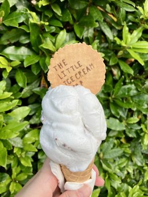 Vegan bounty   at The Little Ice Cream Shop in Windermere