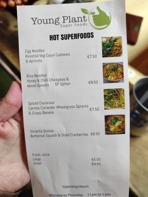 Salads at Young Plant - Food Stand in Cork