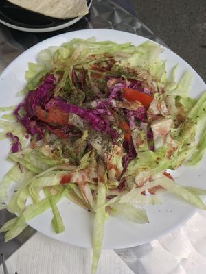 Salad with pomegranate syrup dressing and dried mint at Le Levantin in Clermont-ferrand