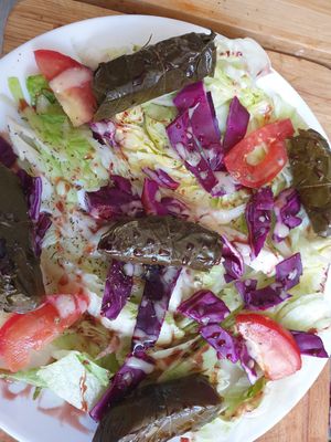 Assiette Yabrak Yalanji crédités Végan at Le Levantin in Clermont-ferrand