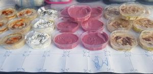  at Le Levantin in Clermont-ferrand