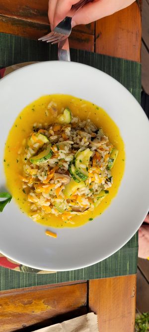 Risotto with courgette, carrots and shitake at Manjericão in Ilhabela