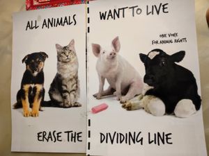  at Veggie4Love in Hong Kong Island