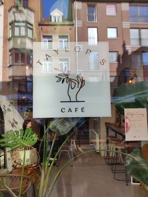 Devant at Taylor's Cafe in Brussels