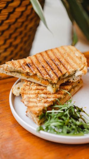  at Taylor's Cafe in Brussels