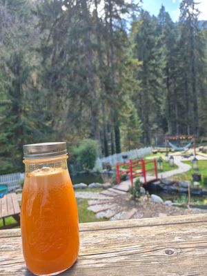 Detox smoothie at The Hungry Yogi  in Scionzier