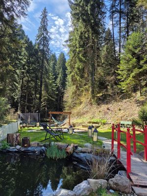 Beautiful garden at The Hungry Yogi  in Scionzier