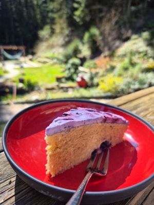 The vegan lemon cake with blueberry topping is an absolute winner! at The Hungry Yogi  in Scionzier