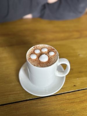 March ‘26 | paw print coffee 🐾  at Riverside Cafe in Newcastle Emlyn