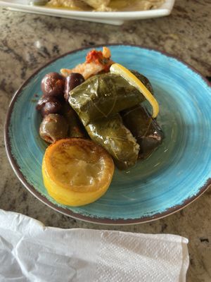 Domas  at Walt Disney World - Tangierine Café in Lake Buena Vista