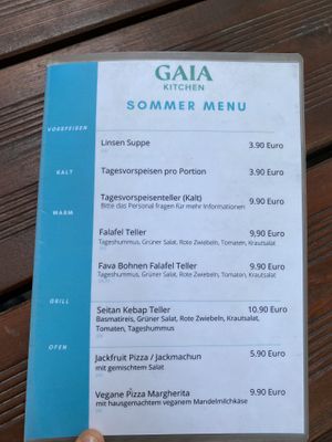 Menu  at Gaia Kitchen in Vienna