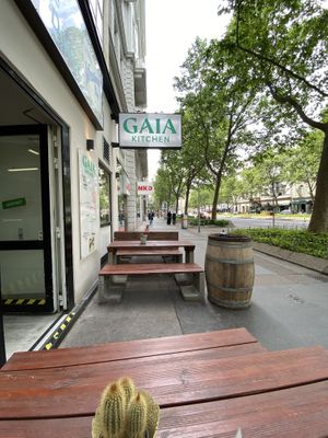 Picnic tables on the street  at Gaia Kitchen in Vienna