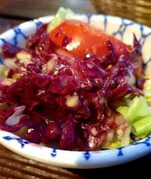  at Gaia Kitchen in Vienna