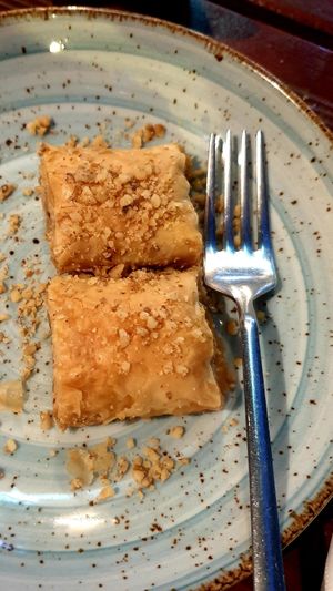  at Gaia Kitchen in Vienna