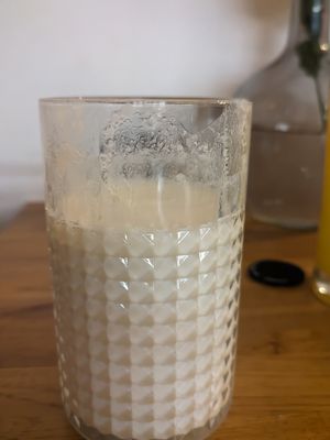 Vegan ayran at Gaia Kitchen in Vienna
