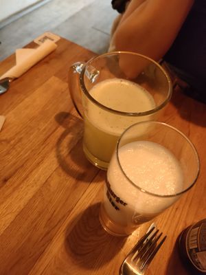  at Gaia Kitchen in Vienna