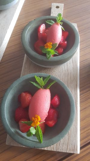 Desert: sorbet with strawberries at Hotel Seegarten in Sundern