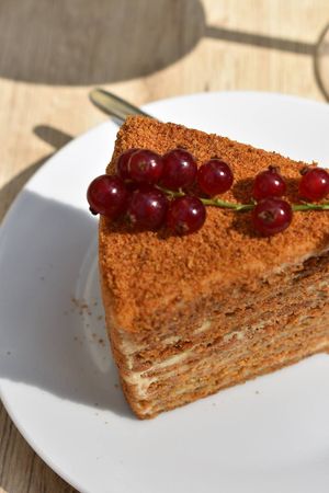 Vegan ukrainian "honey" cake at Steppe Healthy and Vegan Bakery, in Lviv