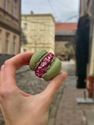  at Steppe Healthy and Vegan Bakery, in Lviv