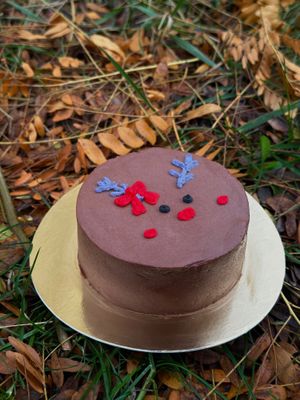  at Steppe Healthy and Vegan Bakery, in Lviv