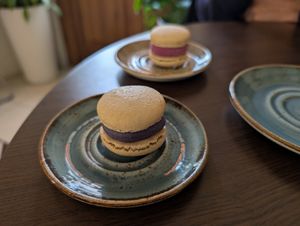 Macarons! at Steppe Healthy and Vegan Bakery, in Lviv