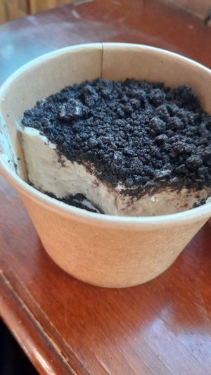 Tiramisu at Studio Sugar Snap in Utrecht