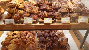 Selection at MOON in Zurich