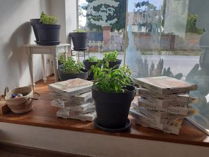 Basilic frais at La Pizzeria - Paulo Azevedo in Woerth