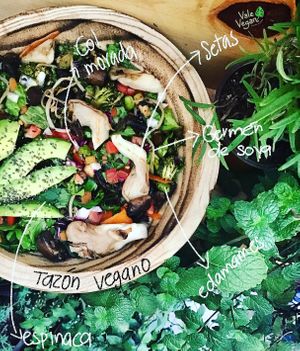 Vegan bowl  at Vale Vegan in San Andres Cholula