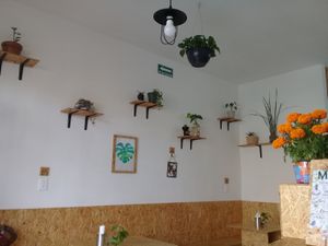 La decoración del lugar at Vale Vegan in San Andres Cholula