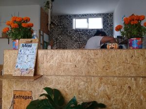 La barra at Vale Vegan in San Andres Cholula