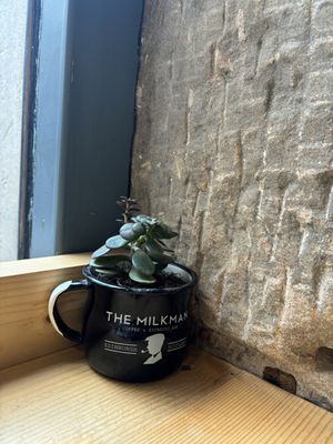 Cute interiorr  at The Milkman in Edinburgh