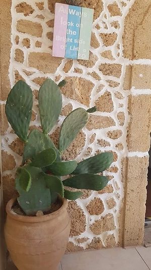  at Stonehouse in Crete