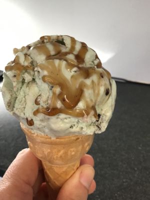 Mint choc chip w caramel sauce  at Get Licks in Prudhoe