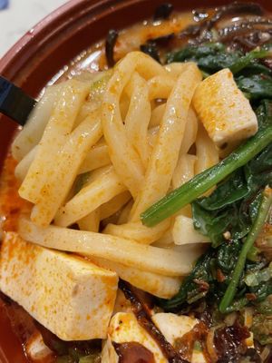 Spicy vegan ramen with udon noodles and added tofu   at Hakata Ramen & Sushi in Wayne