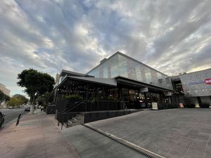 Front on Larchmont  at Cafe Gratitude- Larchmont in Hollywood