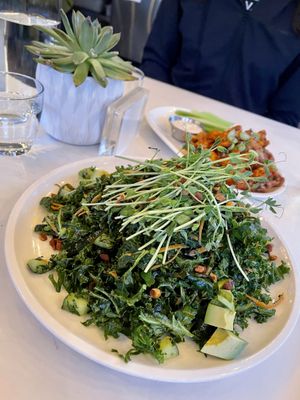 Giant kale and seaweed salad  at Cafe Gratitude- Larchmont in Hollywood